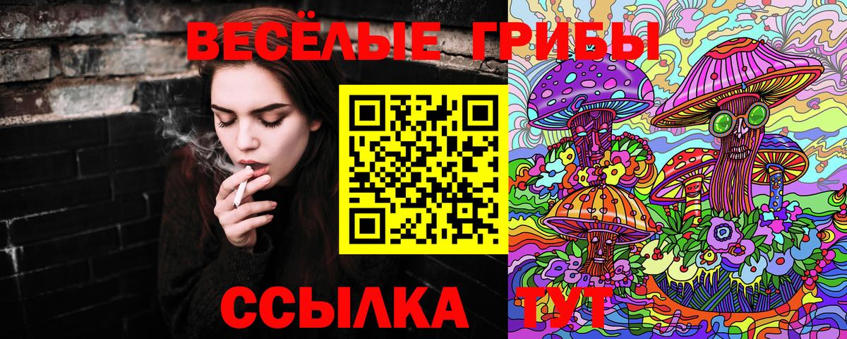 Псилоцибиновые грибы мухоморы Алексин